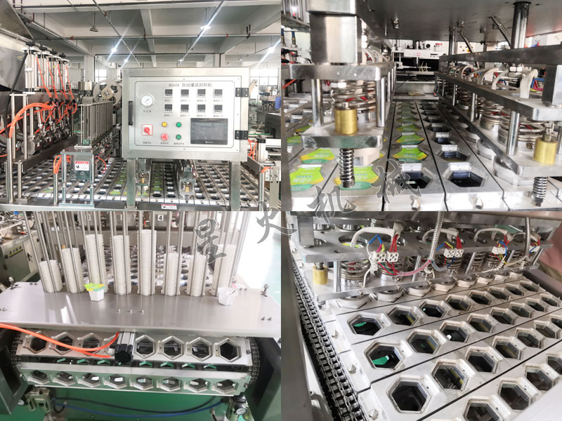 江蘇盒裝牛肉滑自動灌裝封口機細(xì)節(jié)實拍